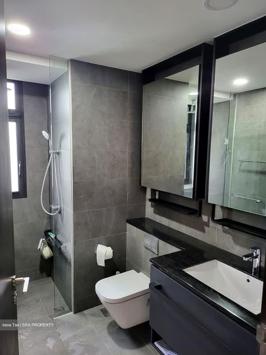 Park Colonial (D13), Condominium #530598641